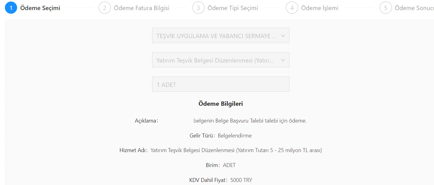 E-TUYS Başvuru Ücreti Ödemesi Nasıl Yapılır