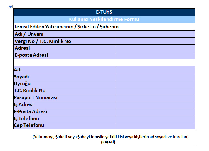 E-TUYS Kullanıcı Yetkilendirme Formu Örneği