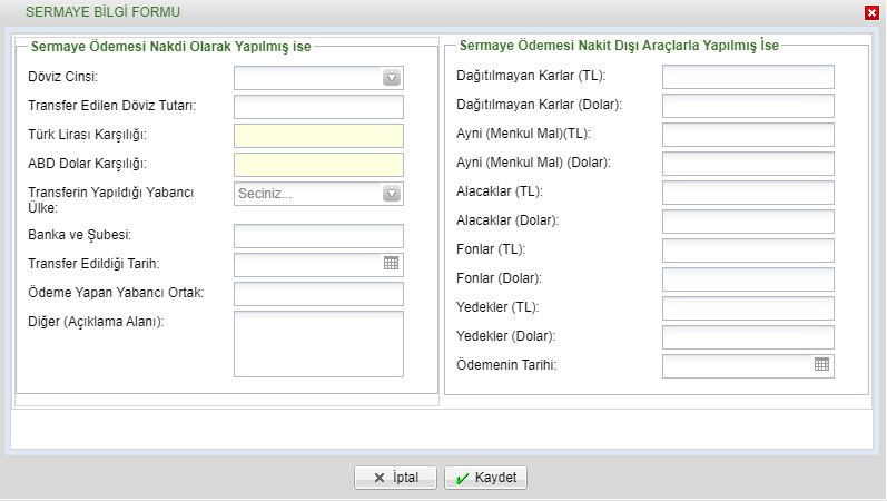 E-TUYS Yabancı Sermaye Bildirimi Ek 2 Formu