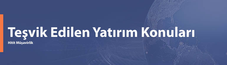 Teşvik Edilen Yatırım Konuları