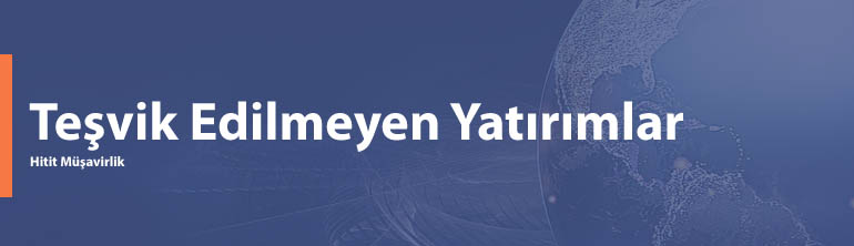 Teşvik Edilmeyen Yatırımlar