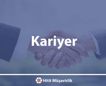 Kariyer